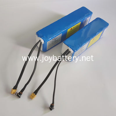 Lightweight and Durable 48v 10ah Battery with 2C Max Peak Discharge Current